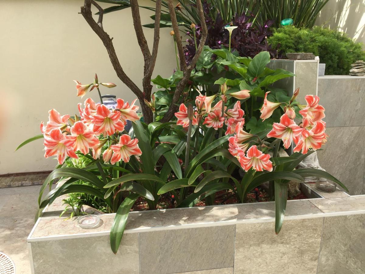Apartamento Bizcocheros Con Piscina Y Jardin Privado Jerez de la Frontera Luaran gambar